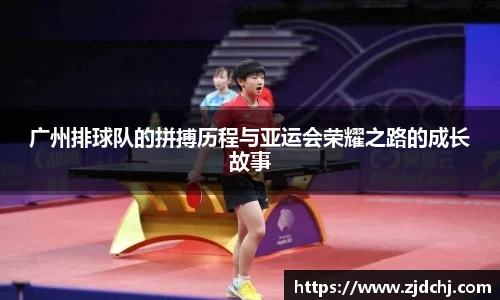 3377体育官网