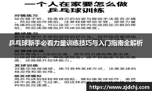 乒乓球新手必看力量训练技巧与入门指南全解析