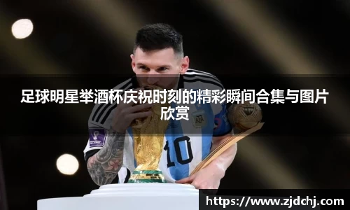 足球明星举酒杯庆祝时刻的精彩瞬间合集与图片欣赏